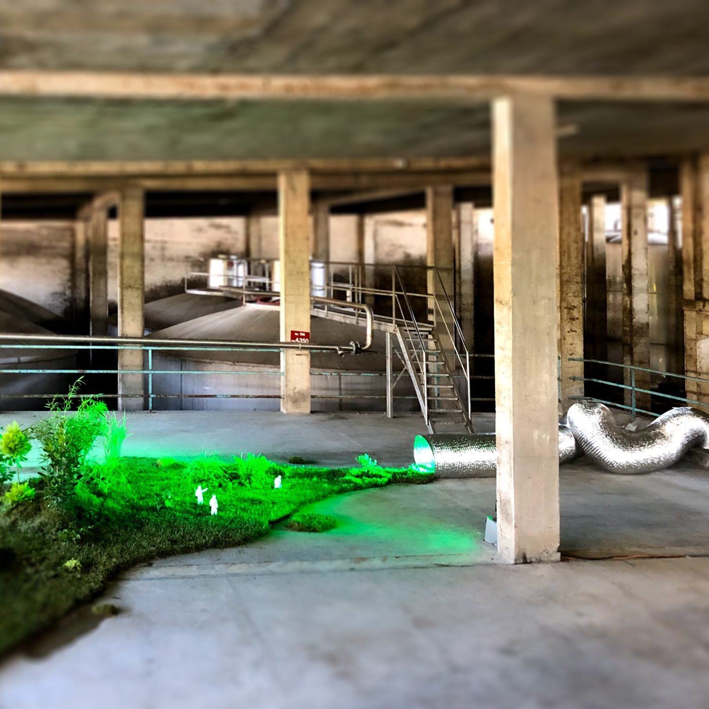 installation-COOPLIVE-2019-mathieu-lucas-4